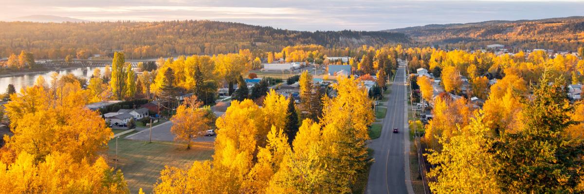arial view of quesnel in the fall with trees with yellow leaves